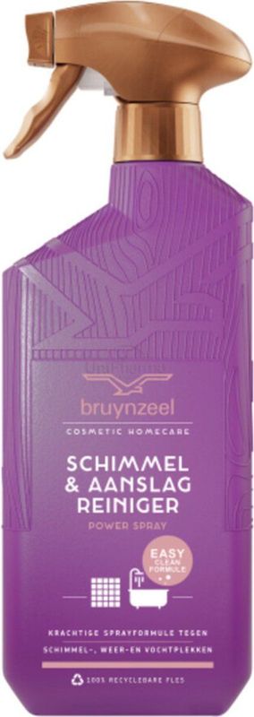 Bruynzeel Schimmel- en Aanslagreinigingsspray Power 500 ml
