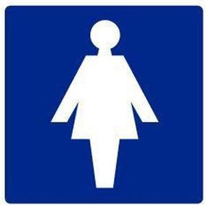 Dames toilet bordje, geborsteld aluminium, blauw 200 x 200 mm