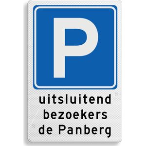 Parkeerbord met eigen tekst - aluminium DOR Klasse 1 - 5 jaar garantie 200 x 300 mm