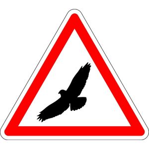 Pas op voor buizerd bord - kunststof 300 mm