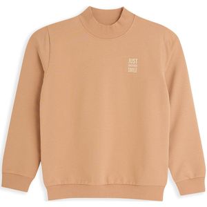 4PRESIDENT - Patel - Sweater - Macaroon - Jongens met Col en Rugprint