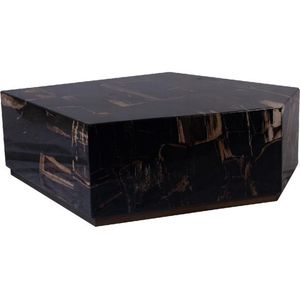 PTMD Rayn Petrified wood black coffeetable L