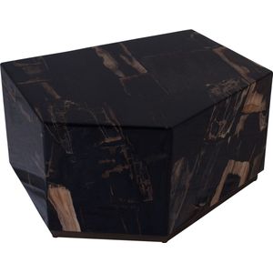 PTMD Rayn Salotnafel - 66 x 53 x 35 cm - Hout - Zwart