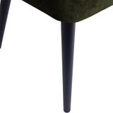 PTMD Fiori Green 1205 dining chair black wood legs