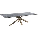PTMD Alore brown gold diningtable rectangle 200 cm