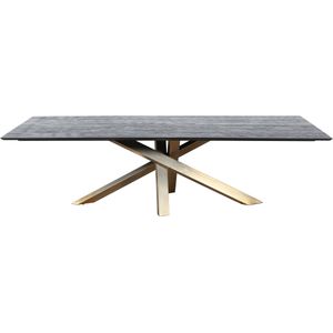PTMD Alore brown gold diningtable rectangle 200 cm