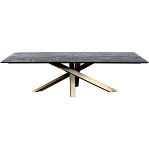 PTMD Alore black gold diningtable rectangle 280 cm