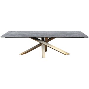 PTMD Alore brown gold diningtable rectangle 280 cm