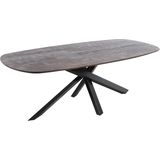PTMD Alore brown black diningtable oval 200 cm