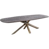 PTMD Alore brown gold diningtable oval 240 cm