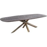 PTMD Alore brown gold diningtable oval 280 cm