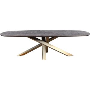 PTMD Alore brown gold diningtable oval 280 cm