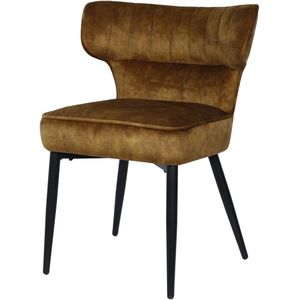 PTMD Zinno Brown dining chair