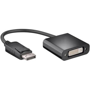 DisplayPort auf DVI I Kabel - Allteq