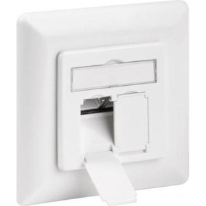 Wandcontactdoos - Cat 6 - Inbouw - Wit - Allteq
