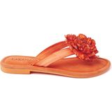 Lazamani  Slippers Dames  Oranje  Leer