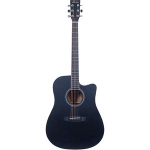 Fazley W70-DMBK ColourTune Dreadnought Matte Black westerngitaar