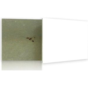 MusPaneel Green-line - toplaag kleur wit - 15x15 cm 2-pack - schilderpaneel - kunstschilder - kunst - schilderen