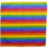 Bandana / Kleine Sjaal Regenboog