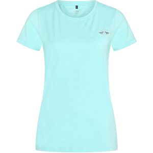 Hv Polo Shirt Hvpclassic - Turquoise