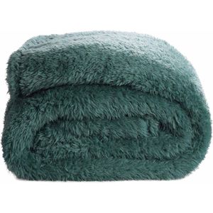 Teddy Fleece Deken - Ultrazacht - 130x170 - groen blauw