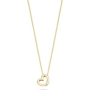 Blush - 3081YGO - Ketting - Goud - 42 CM