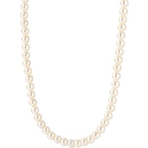 Blush - 3184YPW - Ketting - 40.5 CM - Goud