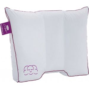Silvana Hoofdkussen Silvana Comfort Paars Katoen Mix Paars x 0 (BxHxD)