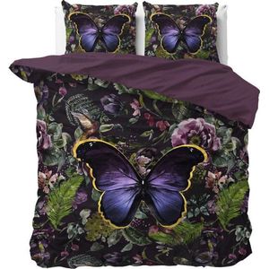 Dreamhouse Wild Mosani - Dekbedovertrekset - Lits-Jumeaux - 240x200/220 + 2 kussenslopen 60x70 - Turquoise