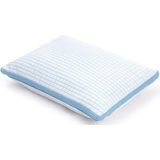 Dreamhouse 3D Verkoelend Kussen - Blue Cell Tech - 50x70 - Wit