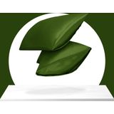 Sleeptime Satijnen Kussensloop - Anti allergeen - Haarverzorging - Huidverzorging - 2 Stuks - 60x70 cm - Groen