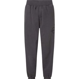 Calvin Klein, Heren, Broeken, Grijs, Maat: S Katoen,
