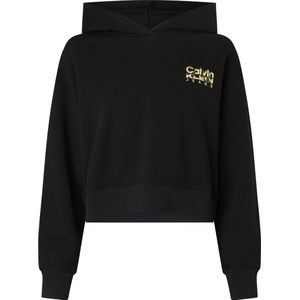 Sweatshirt Ck Jeans Kleurrijk Kunstwerk - Streetwear - Vrouwen