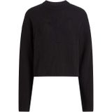 Sweater met ronde hals en lange mouwen CALVIN KLEIN JEANS. Katoen materiaal. Maten L. Zwart kleur