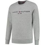 Tommy Hilfiger Sweater Blauw Normaal - Mannen - Herfst/Winter Collectie - Katoen
