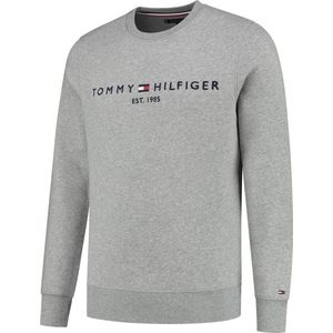 Tommy Hilfiger Sweater Blauw Normaal - Mannen - Herfst/Winter Collectie - Katoen