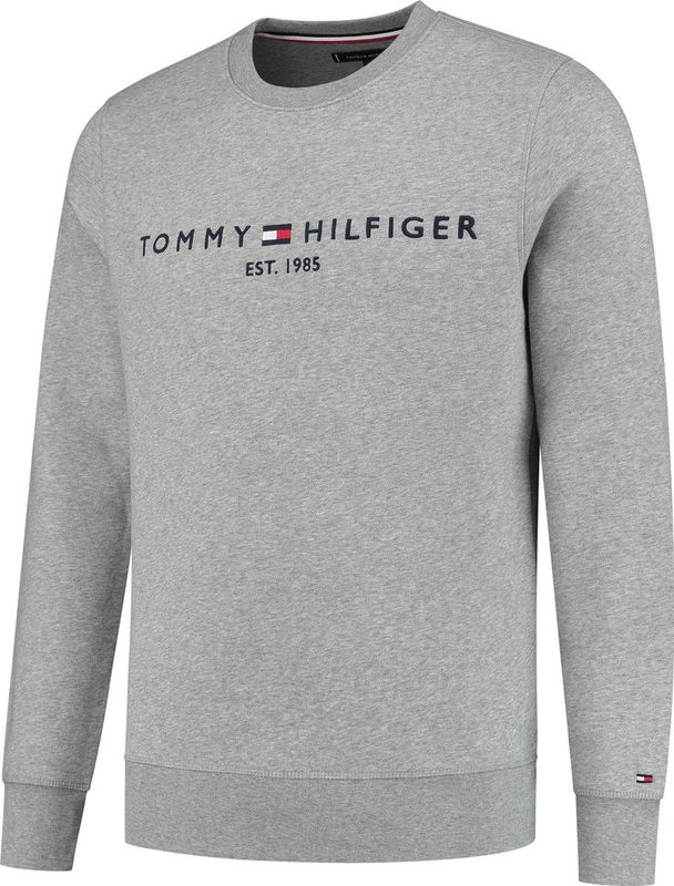 Tommy Hilfiger Sweater Blauw Normaal - Mannen - Herfst/Winter Collectie - Katoen