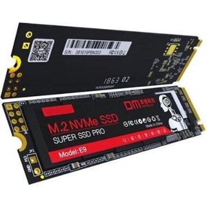 LUXWALLET DM E9-M.2 NVMe 2280 Solid State Drive SSD – ondersteunt PCLe Gen3X4 - 512GB