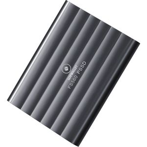 LUXWALLET QuickDrive - Draagbare SSD / Solid State Opslag - 500GB - Type-C - USB-C / USB 3.1 - Metaal