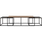 DTP Home Coffee table Cosmo rectangular, set of 3,35x110x60 cm / 32x70x70 cm, recycled teakwood