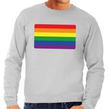 Gay pride regenboog vlag sweater grijs - homo/regenboog sweater voor heren - gay pride