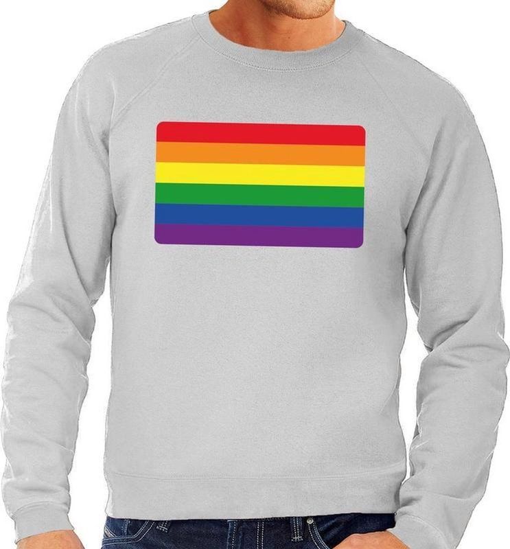 Gay pride regenboog vlag sweater grijs - homo/regenboog sweater voor heren - gay pride