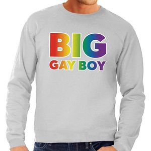 Grote maten Big Gay Boy regenboog sweater grijs - plus size lgbt sweater voor heren - gay pride