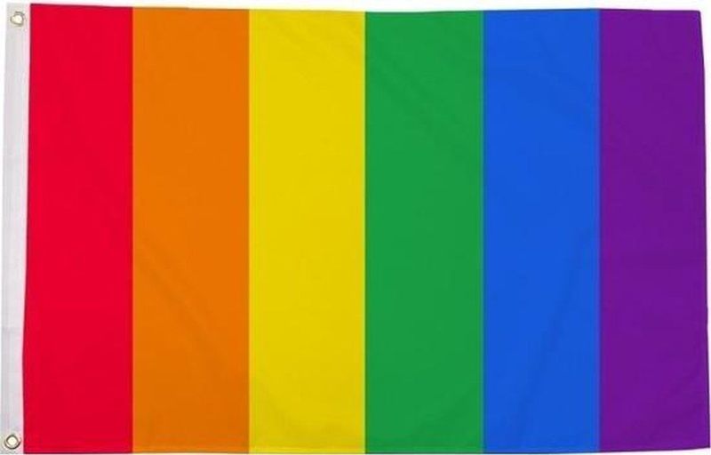 Regenboog LGBT vlag 90 x 150 cm verticale strepen - Gay pride/parade feestversiering/feestdecoratie artikelen