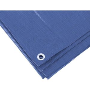 Blauw afdekzeil / dekzeil - 5 x 6 meter - 100 grams kwaliteit - dekkleed / grondzeil