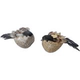 4x Decoratievogels op clip oker/grijs 11 cm - decoratie vogeltjes/decoratievogeltjes - Kerstboomversiering/woondecoratie