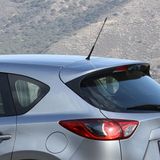 Auto Radio Antenne met M5 en M6 Adapter - Reserve Onderdelen - Auto Accessoires