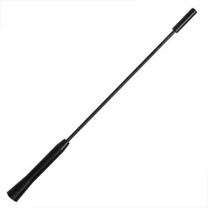 Auto Radio Antenne met M5 en M6 Adapter - Reserve Onderdelen - Auto Accessoires