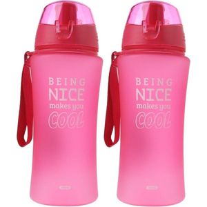 2x Roze bidon drinkflessen/waterflessen 480 ml - Bidons