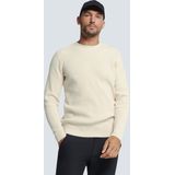 No Excess Mannen Trui Met Ronde Hals Kitt